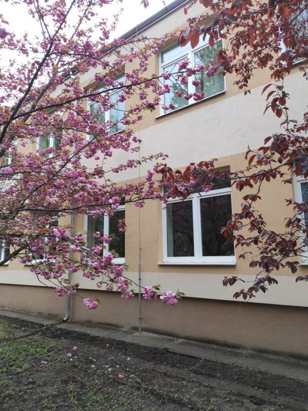 Általános Iskola, Lajoskomárom